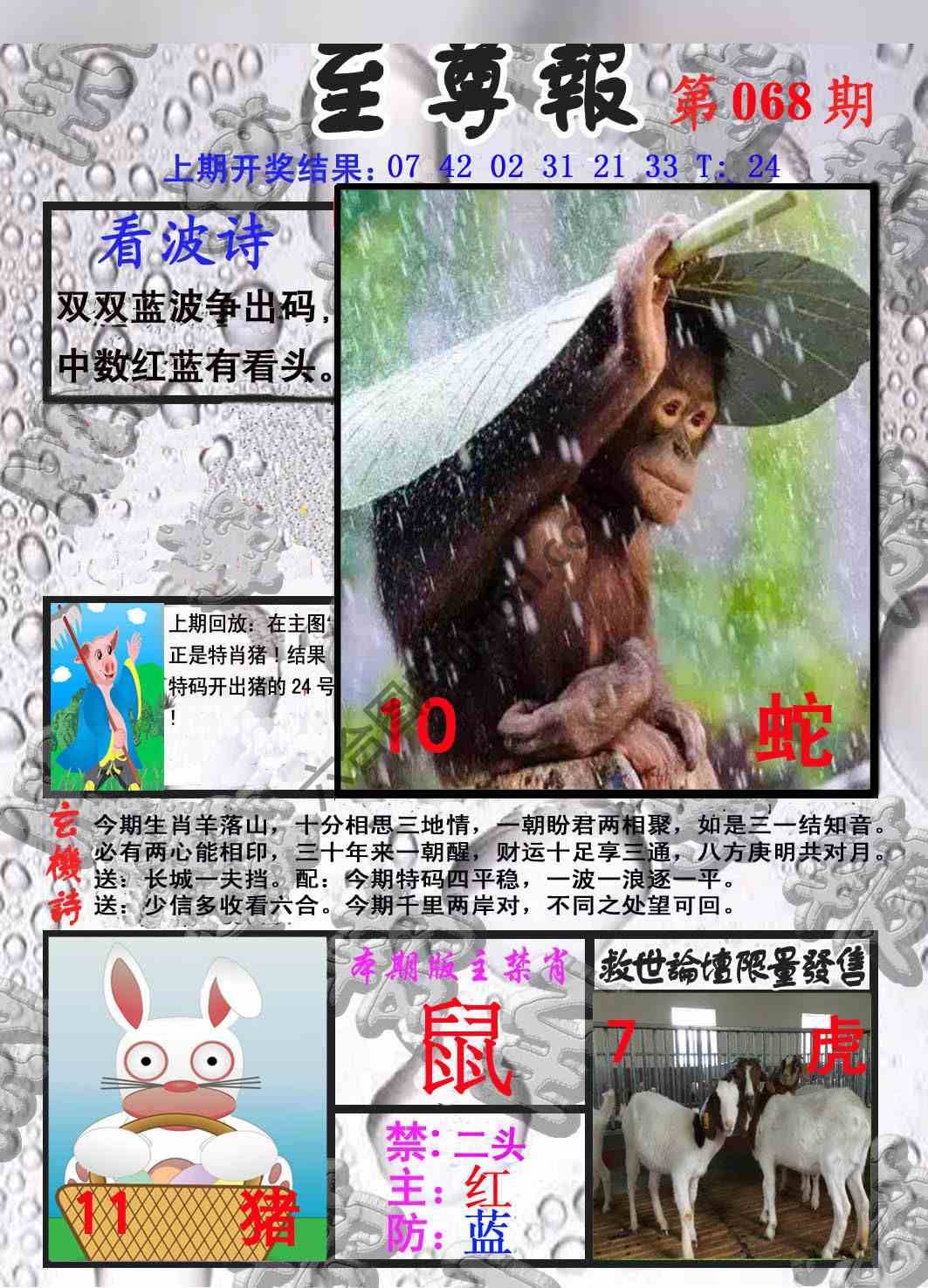 至尊报