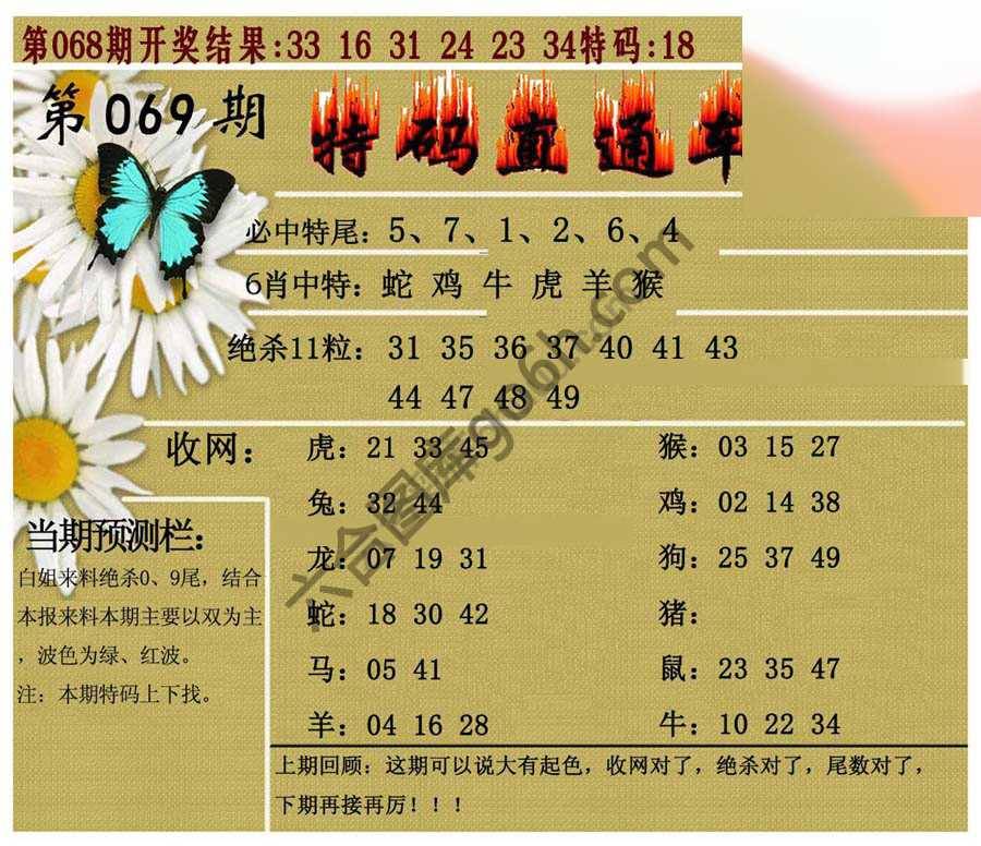 特码直通车
