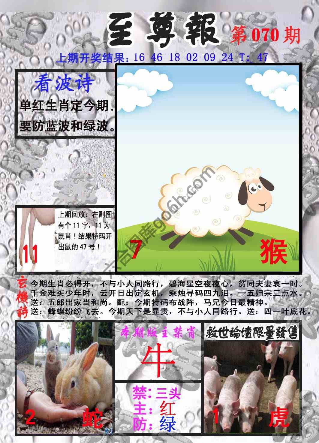至尊报