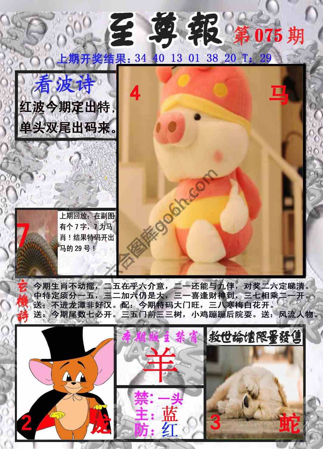 至尊报