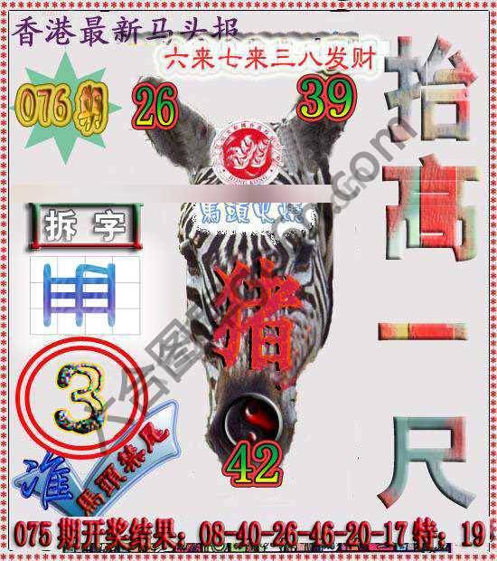 香港马头报