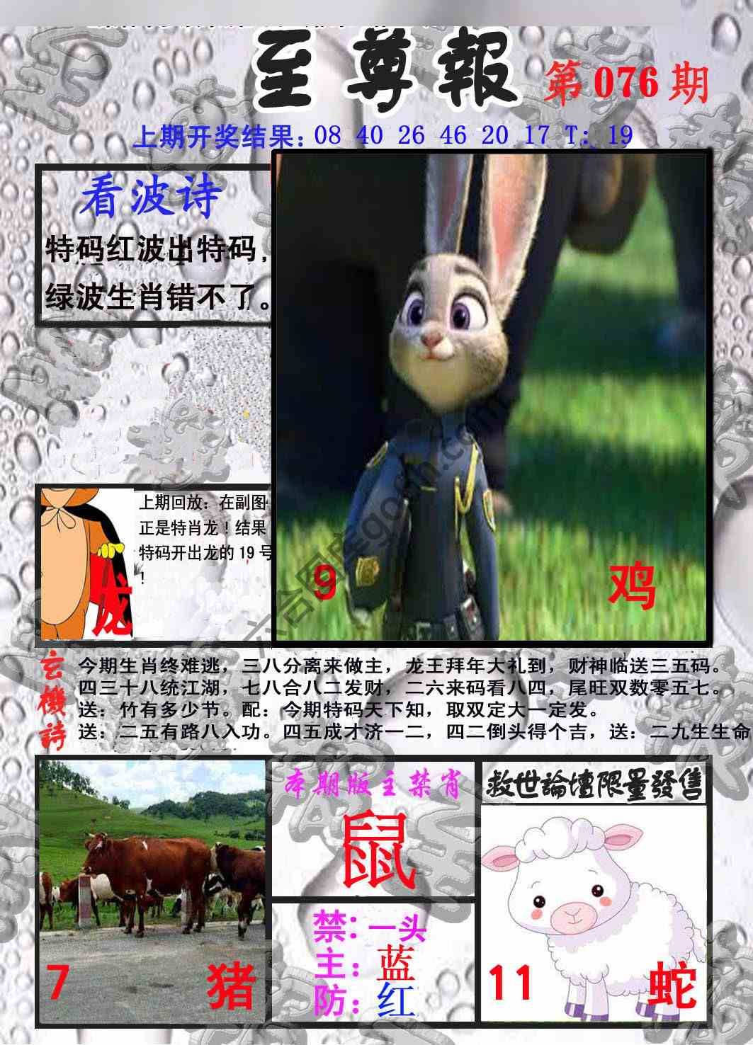 至尊报