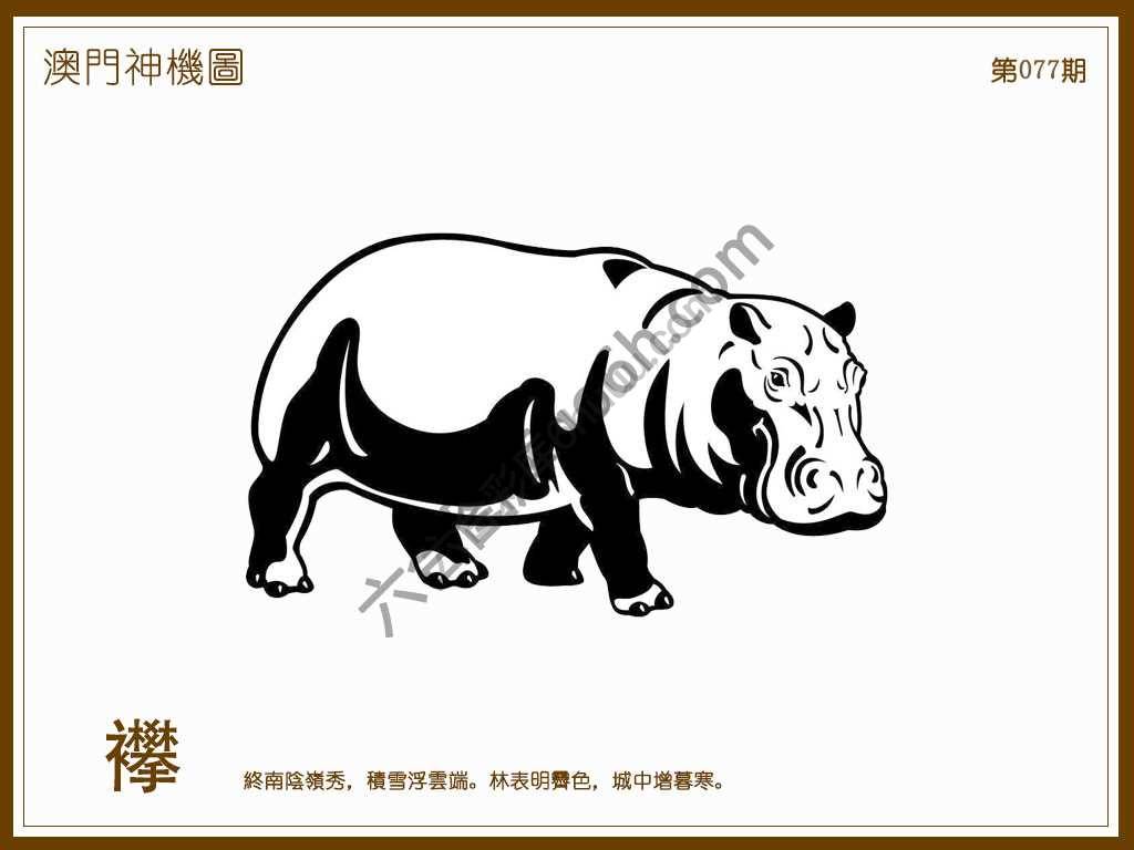 澳门神机图