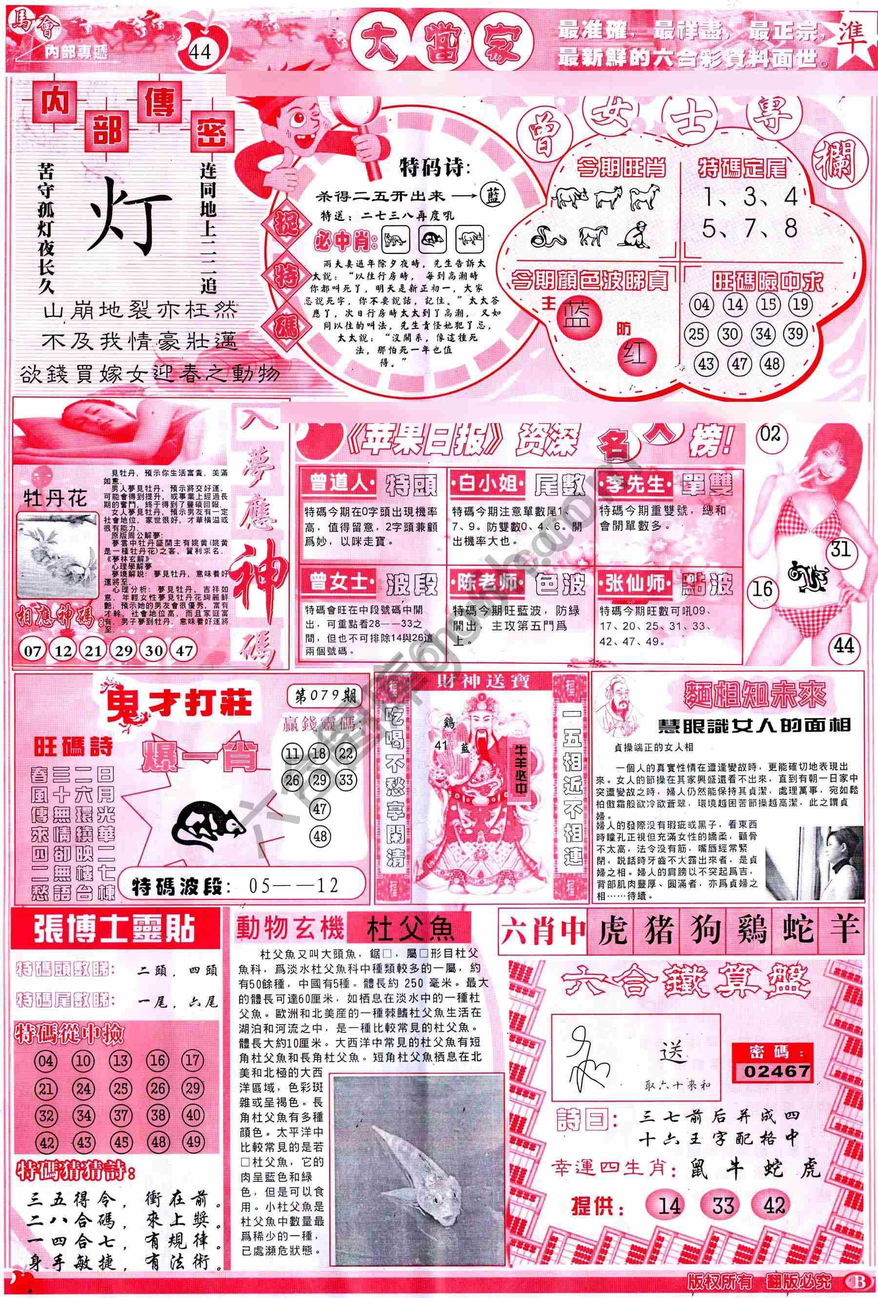 大当家