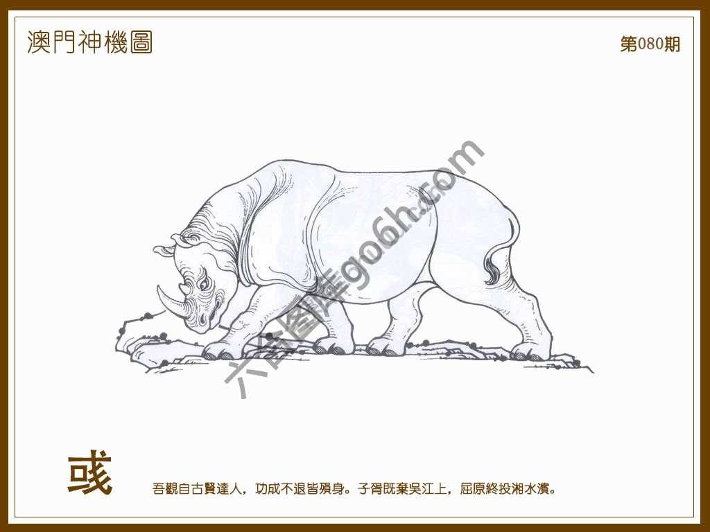 澳门神机图