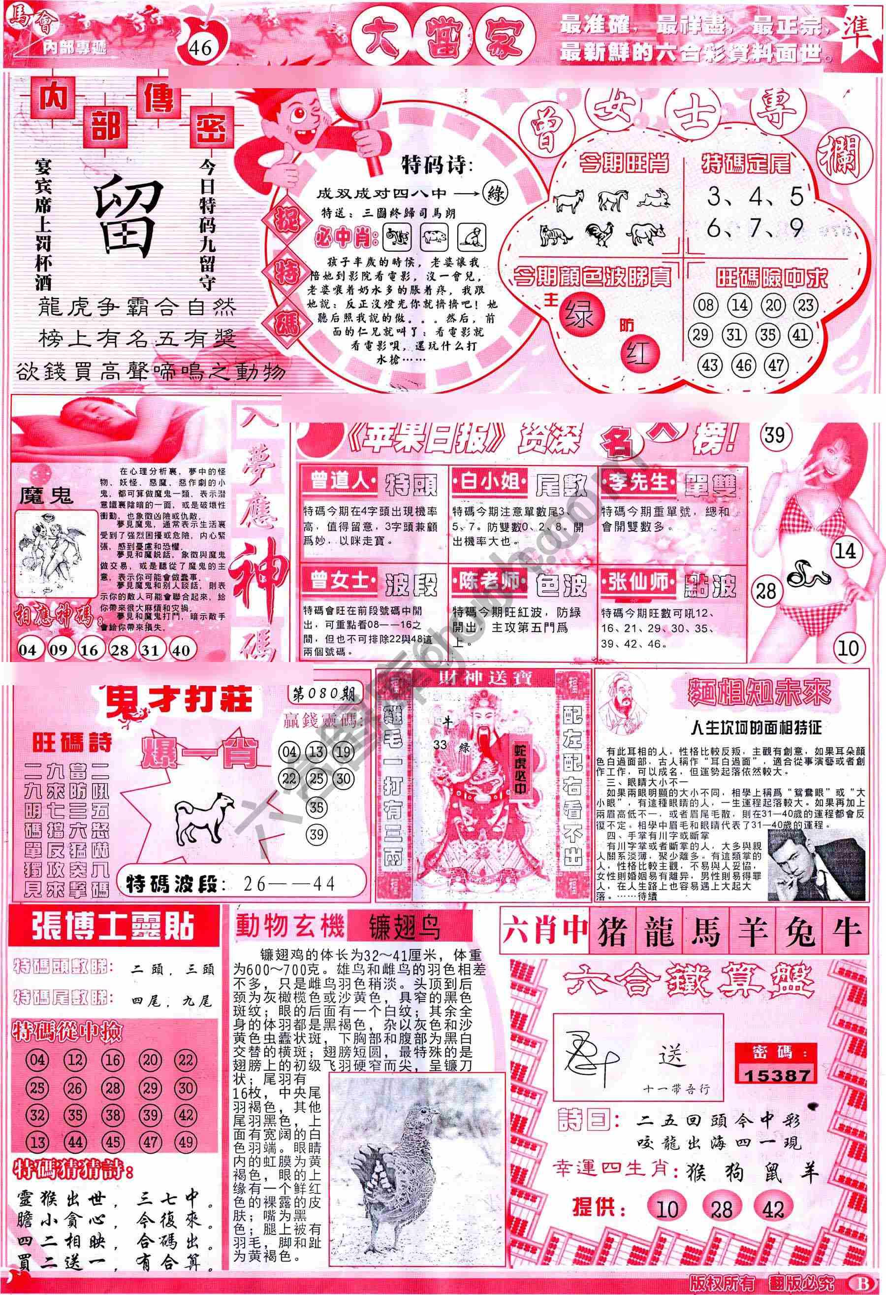 大当家
