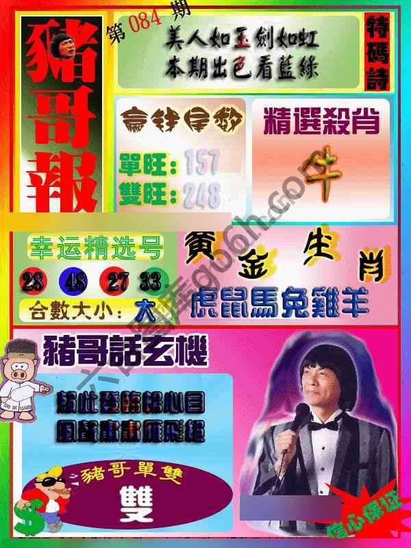 猪哥报