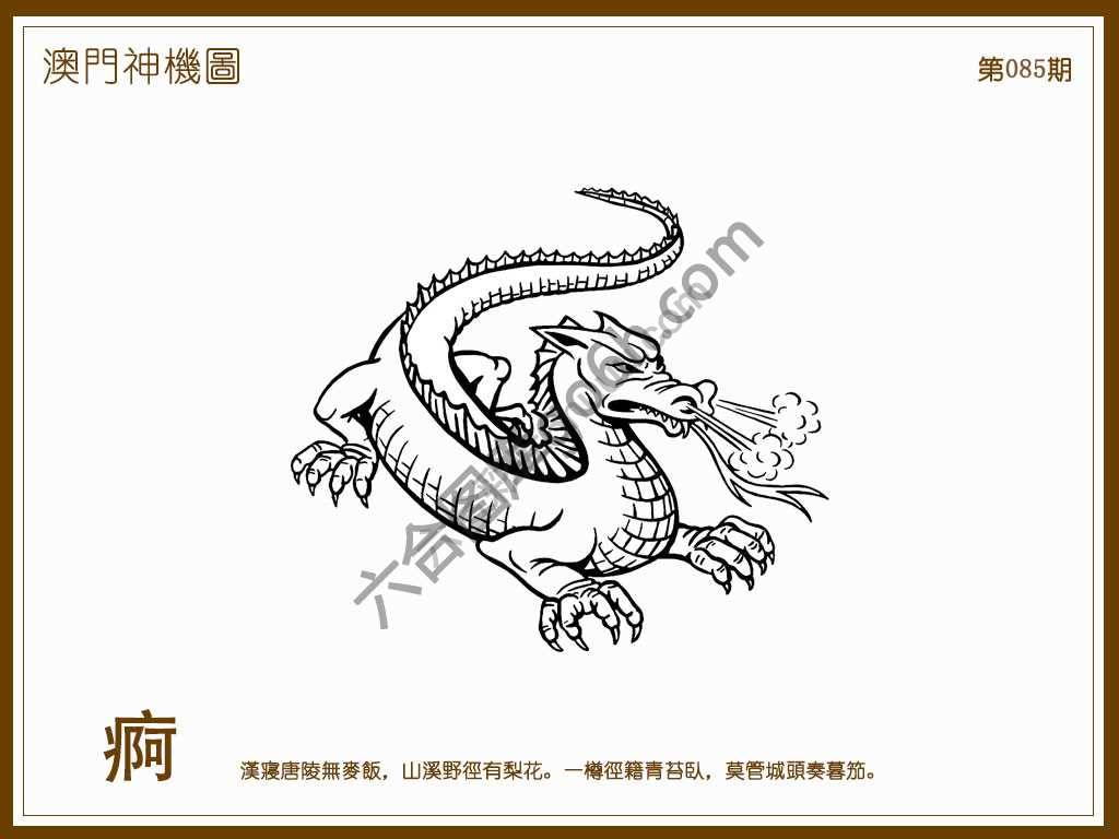 澳门神机图
