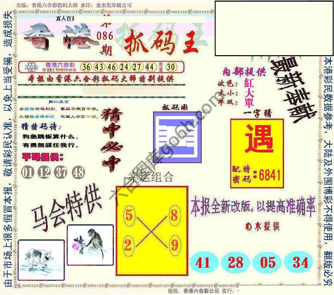 新抓码王