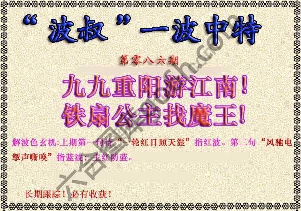 波叔一波中特