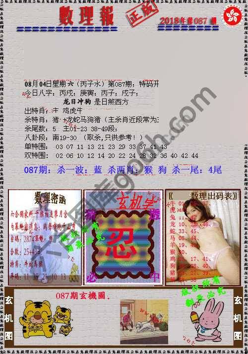 数理报