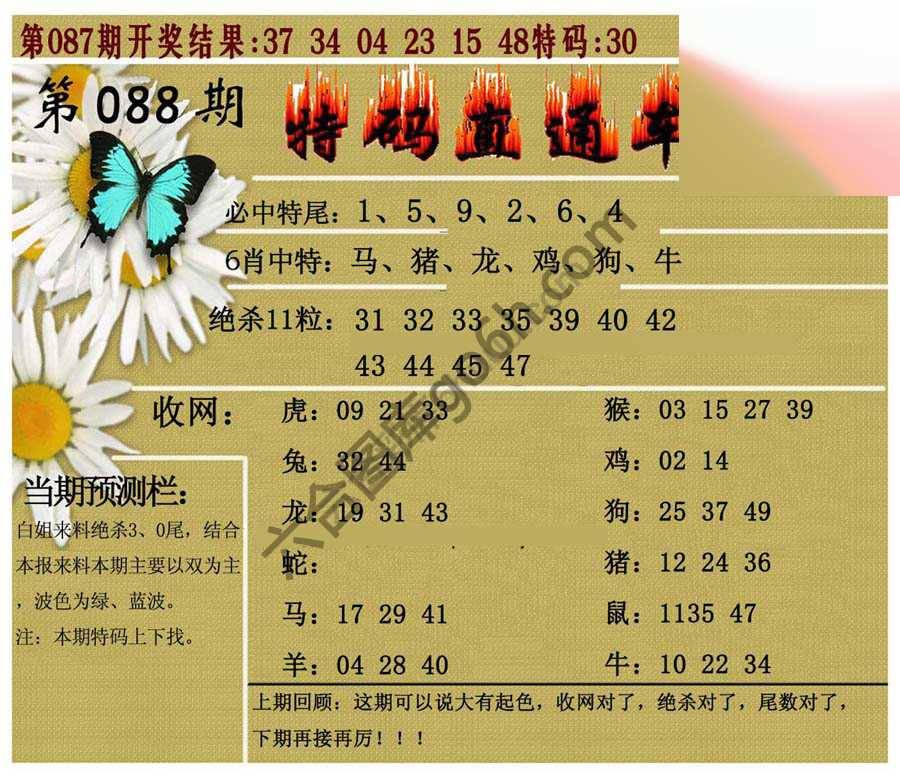 特码直通车