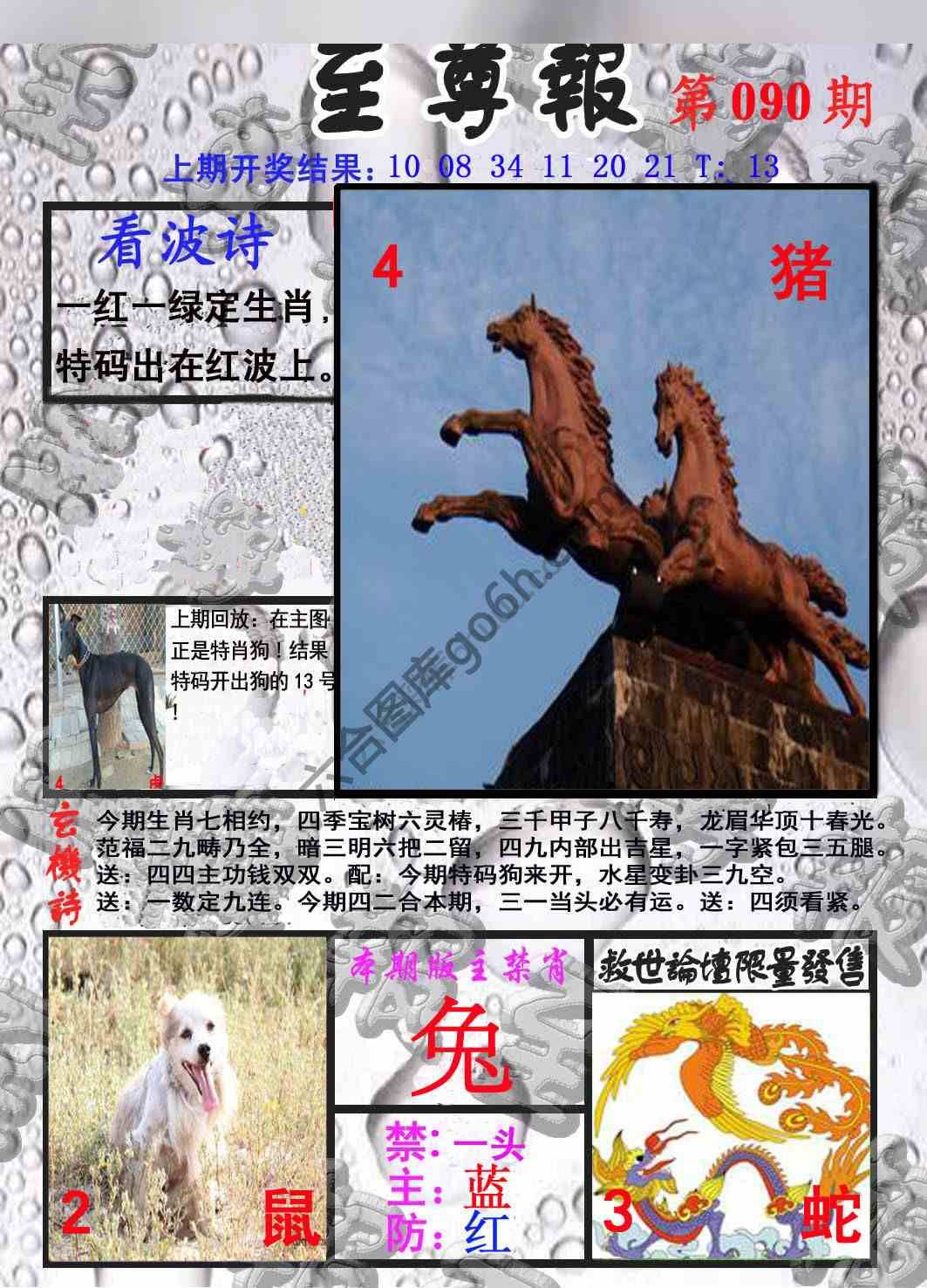 至尊报