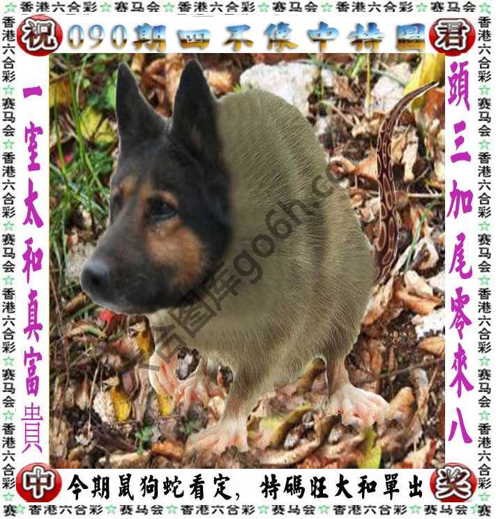 四不像中特图