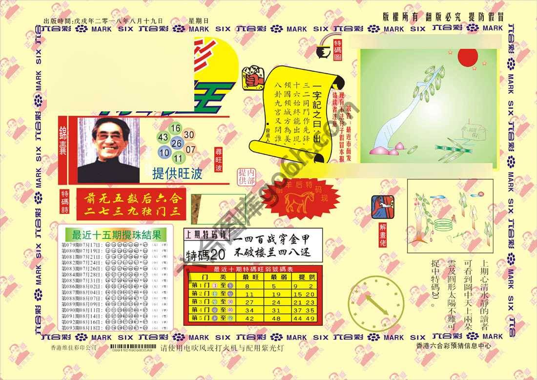 特码王