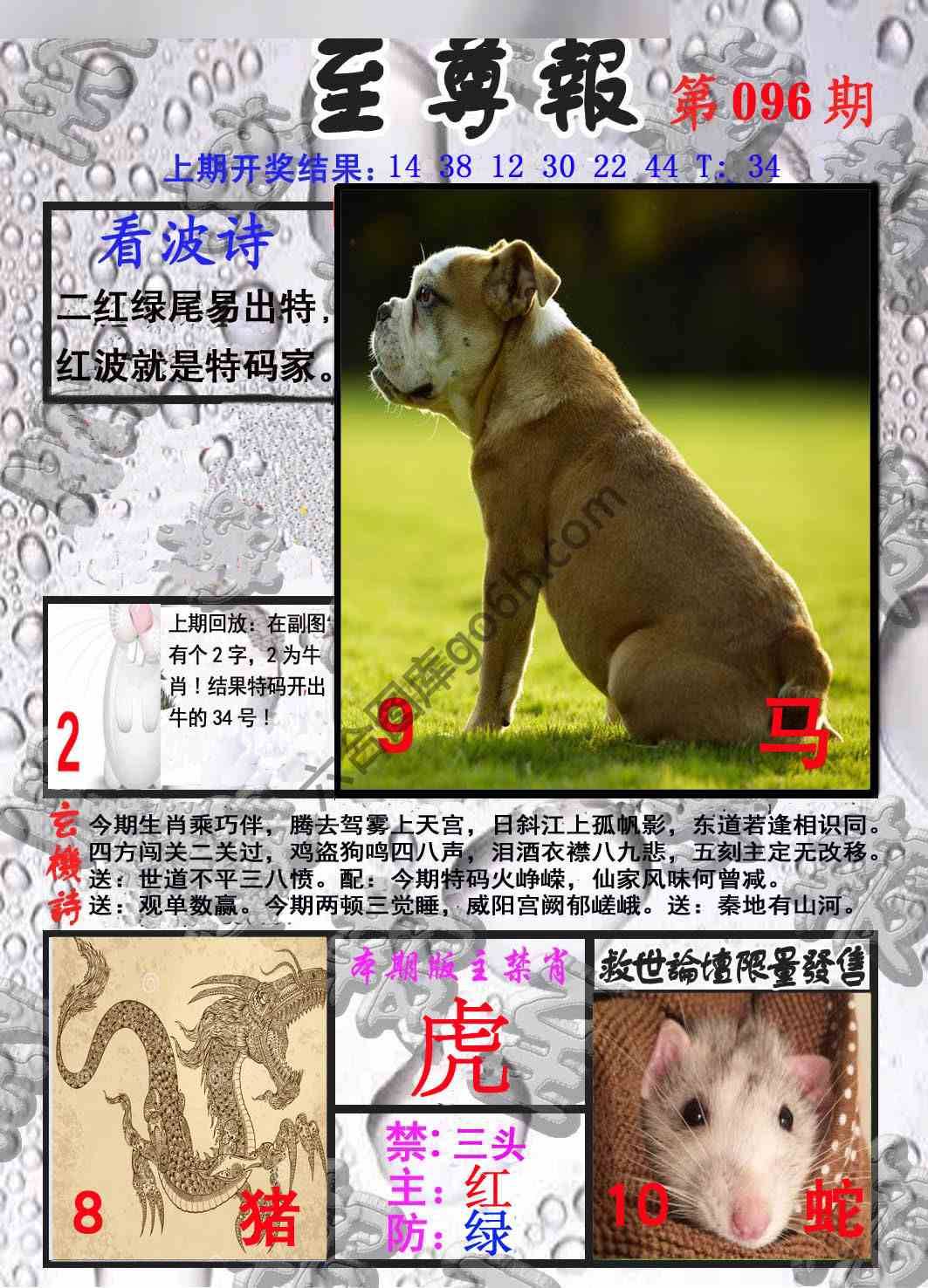 至尊报