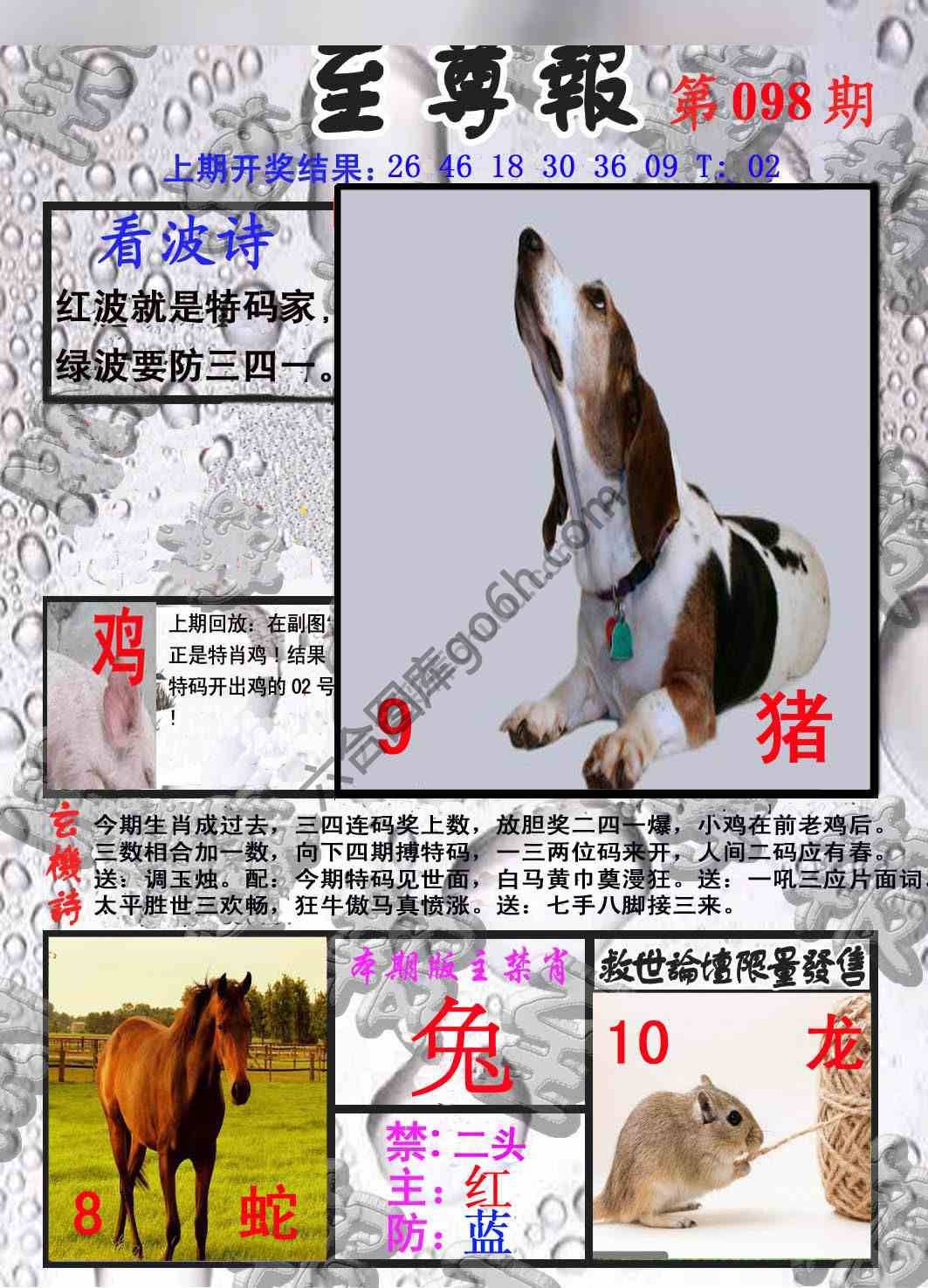 至尊报