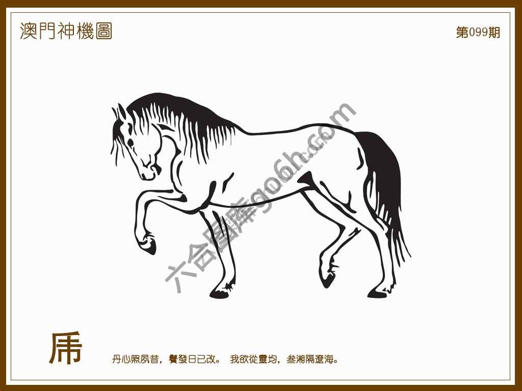澳门神机图
