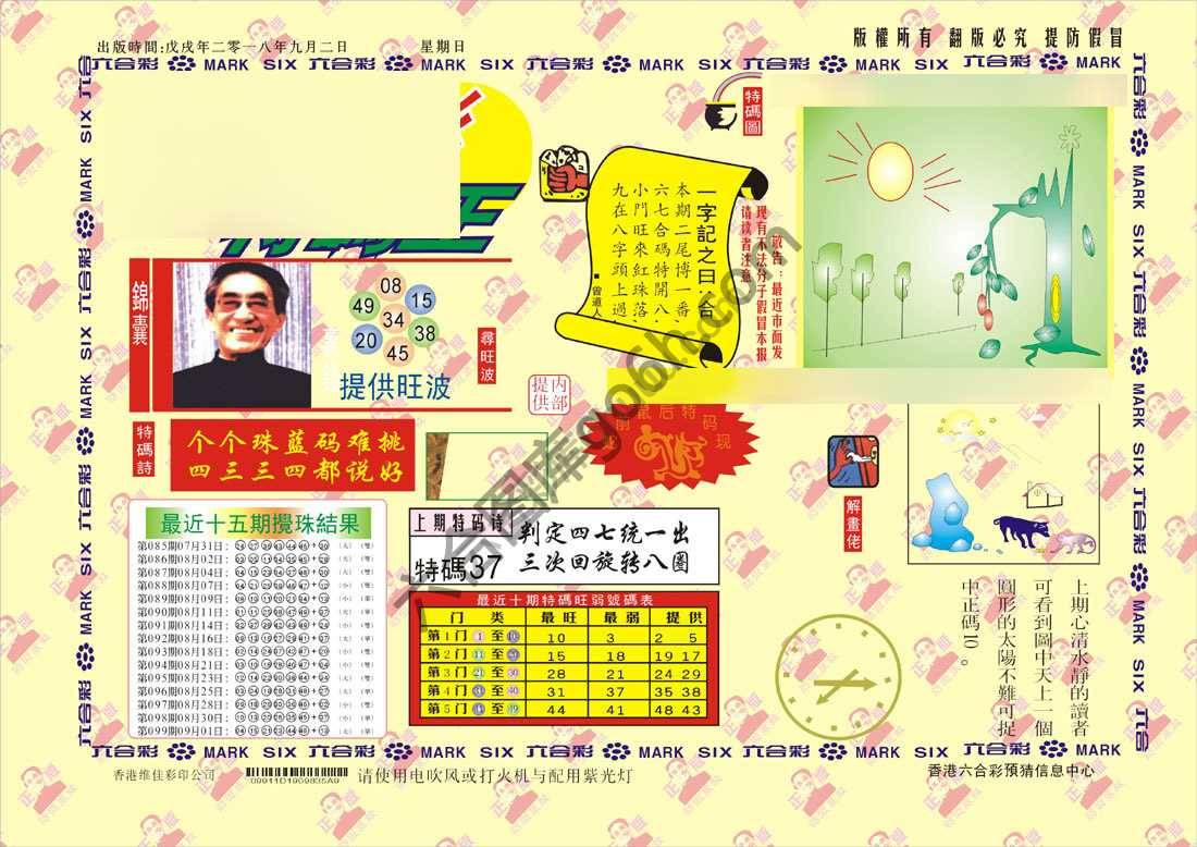 特码王
