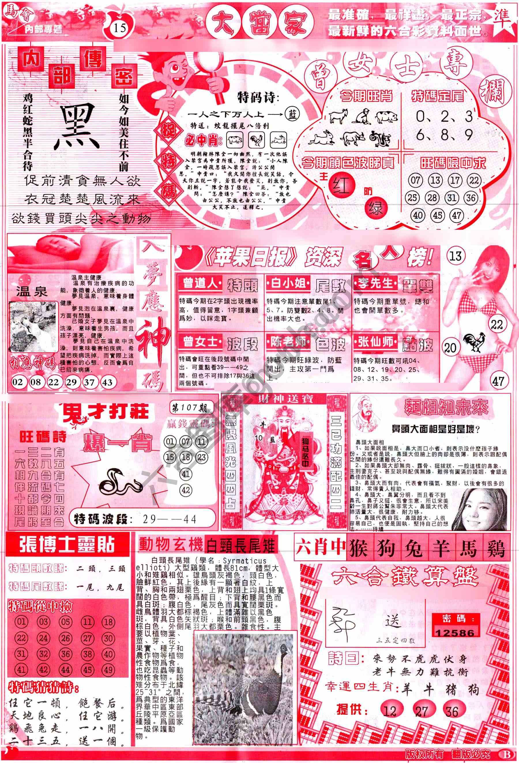 大当家