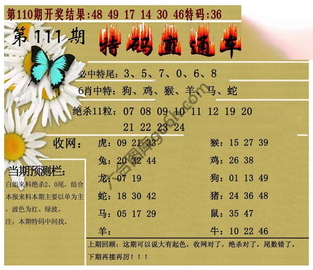 特码直通车
