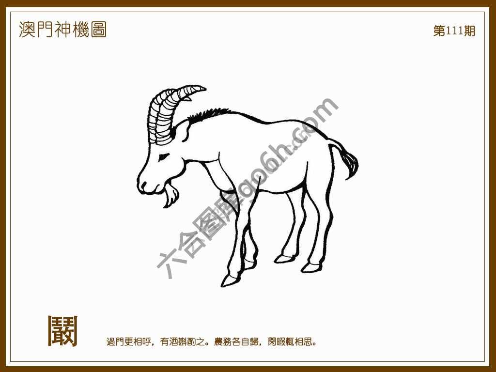 澳门神机图