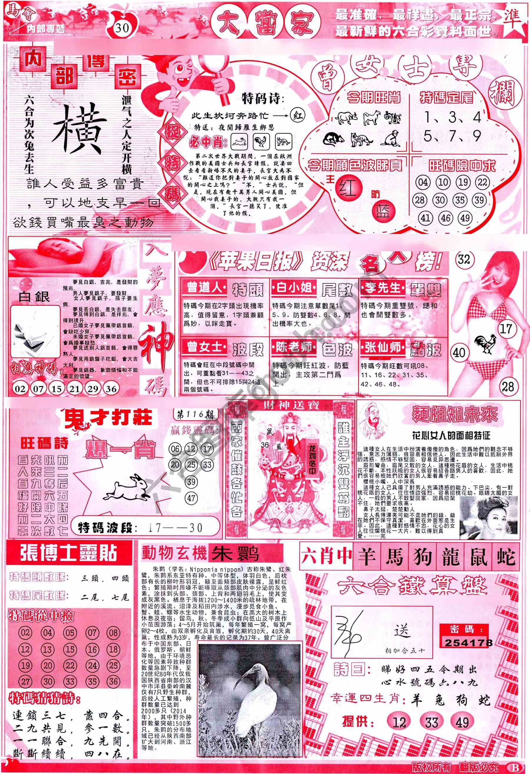大当家