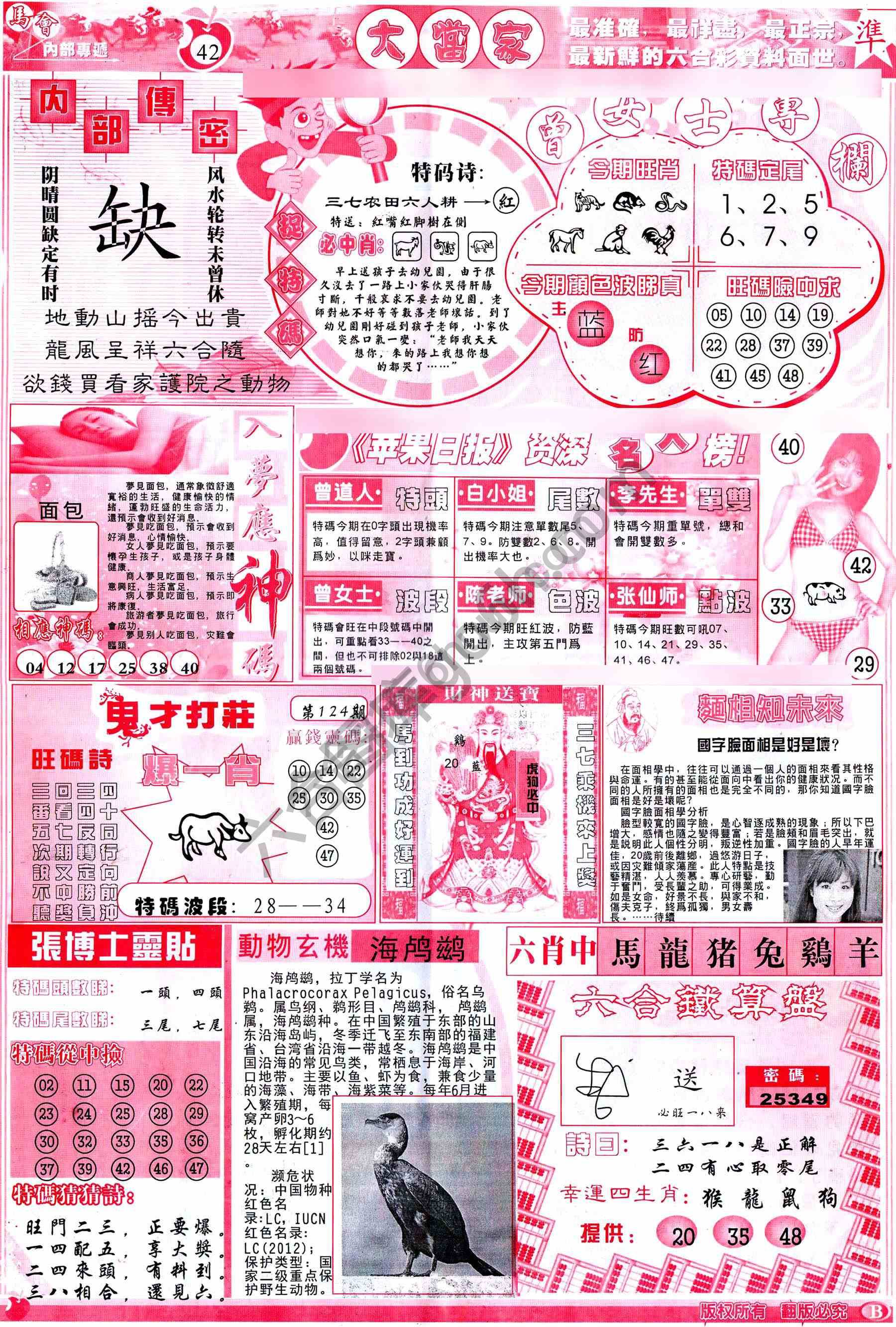 大当家