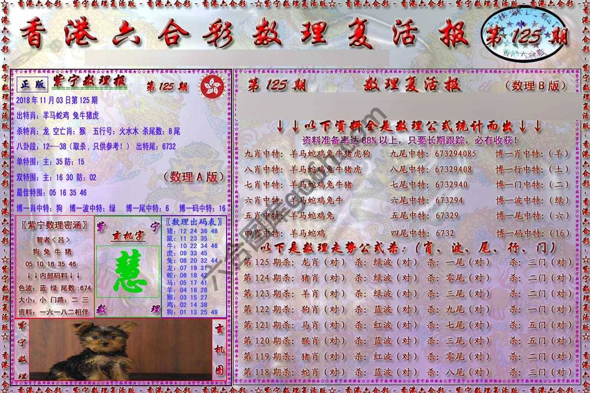 数理复活报