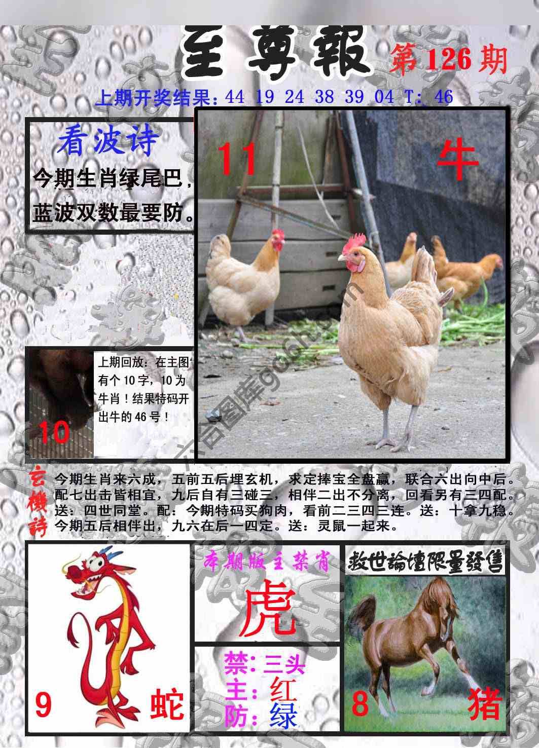 至尊报