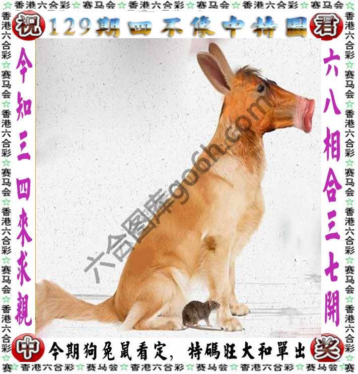 四不像中特图