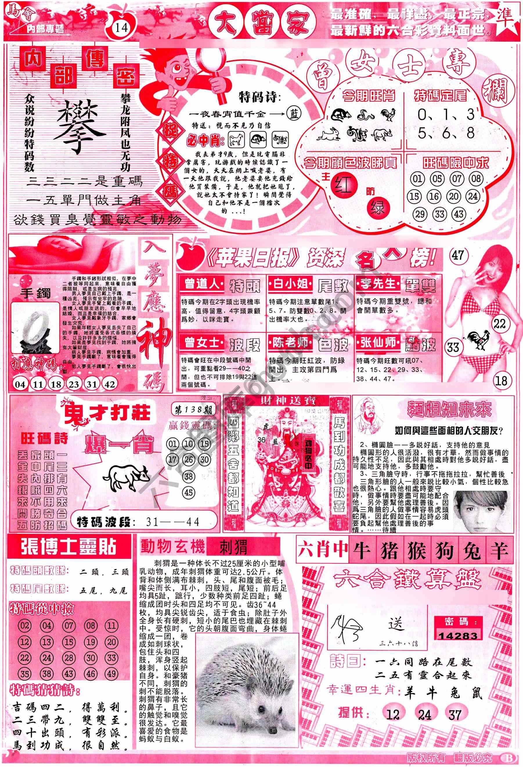 大当家