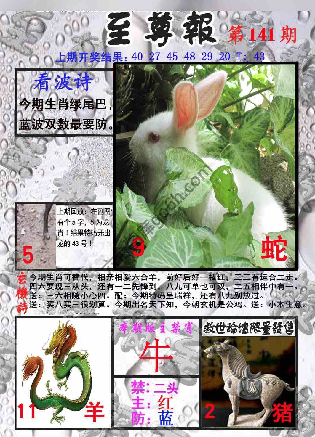 至尊报