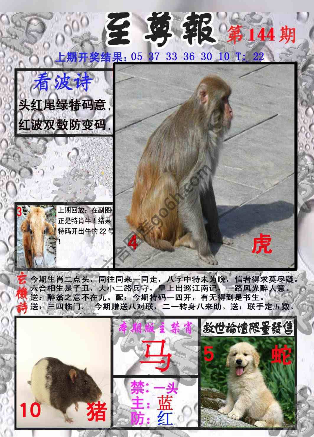 至尊报
