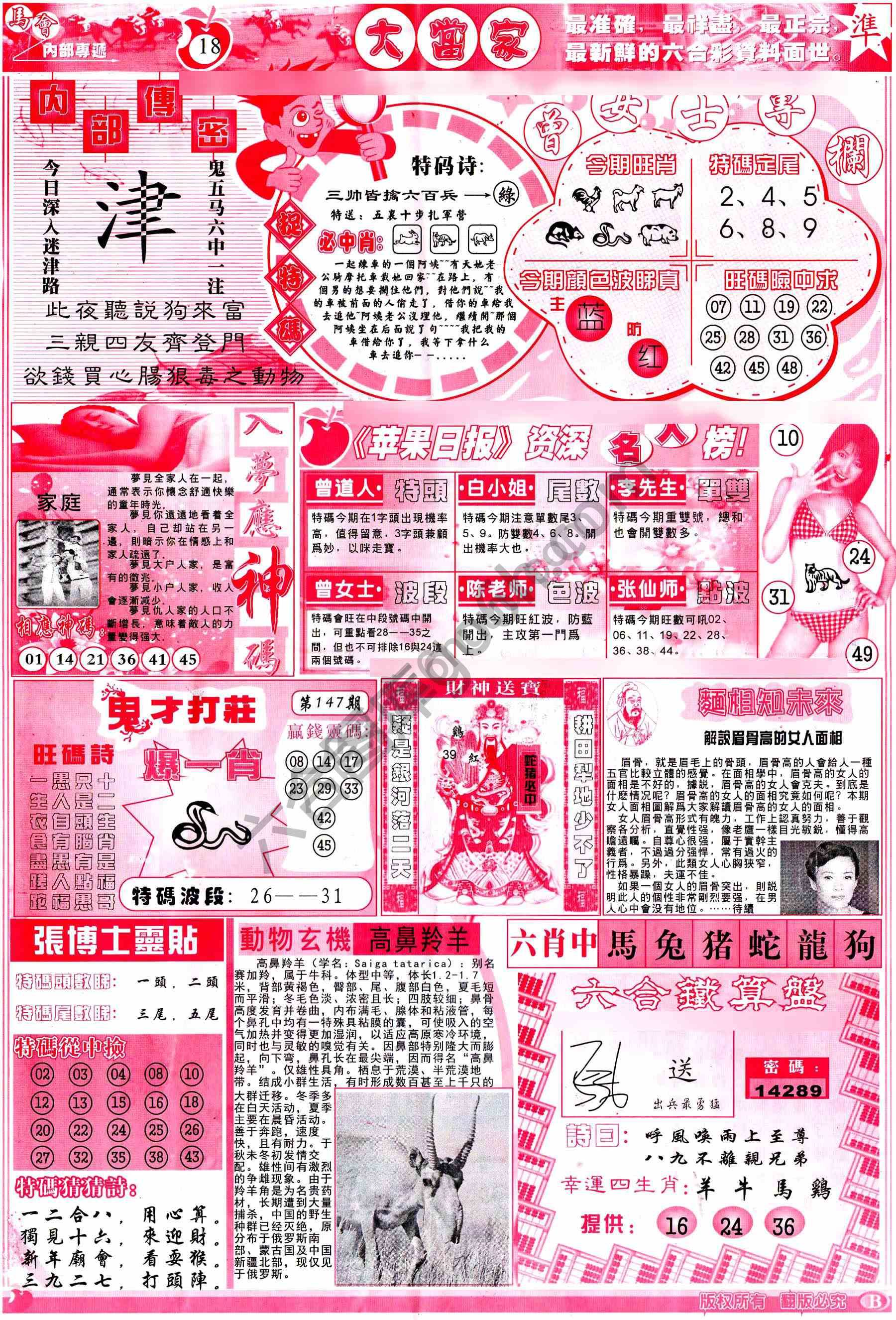 大当家