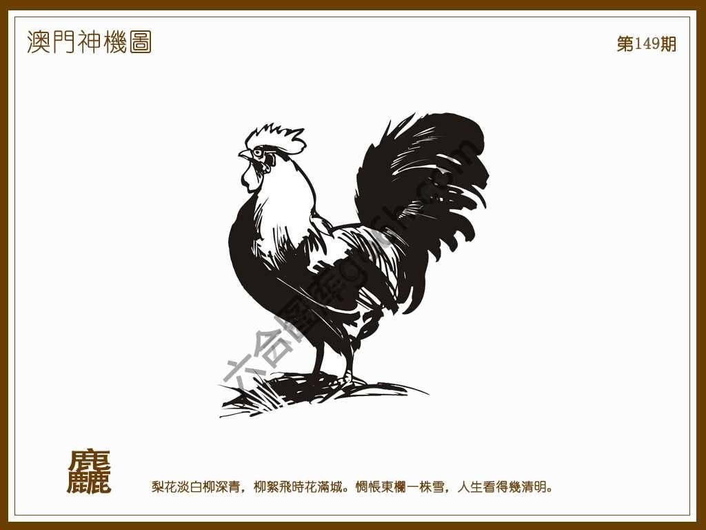 澳门神机图