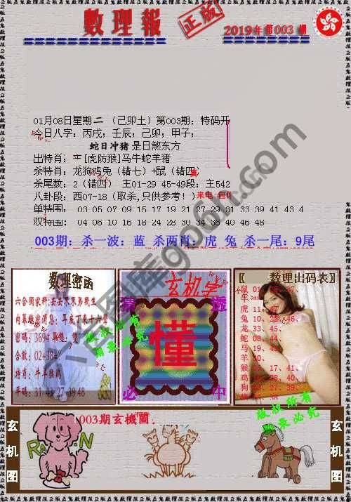 数理报