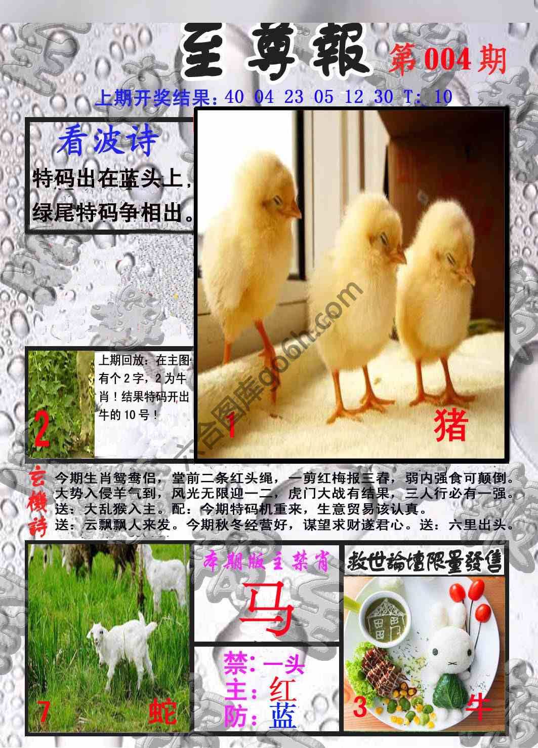 至尊报