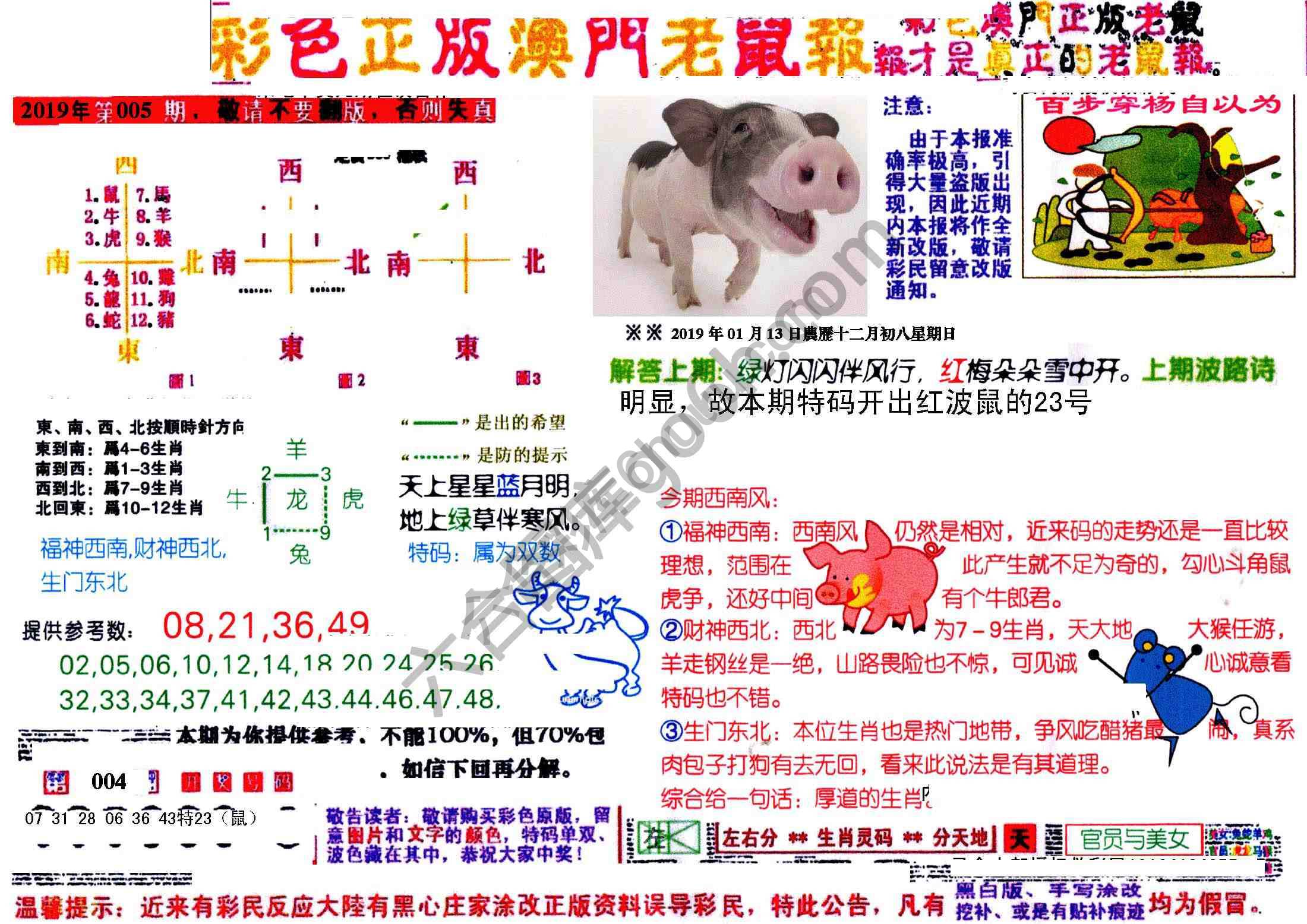 澳门老鼠报