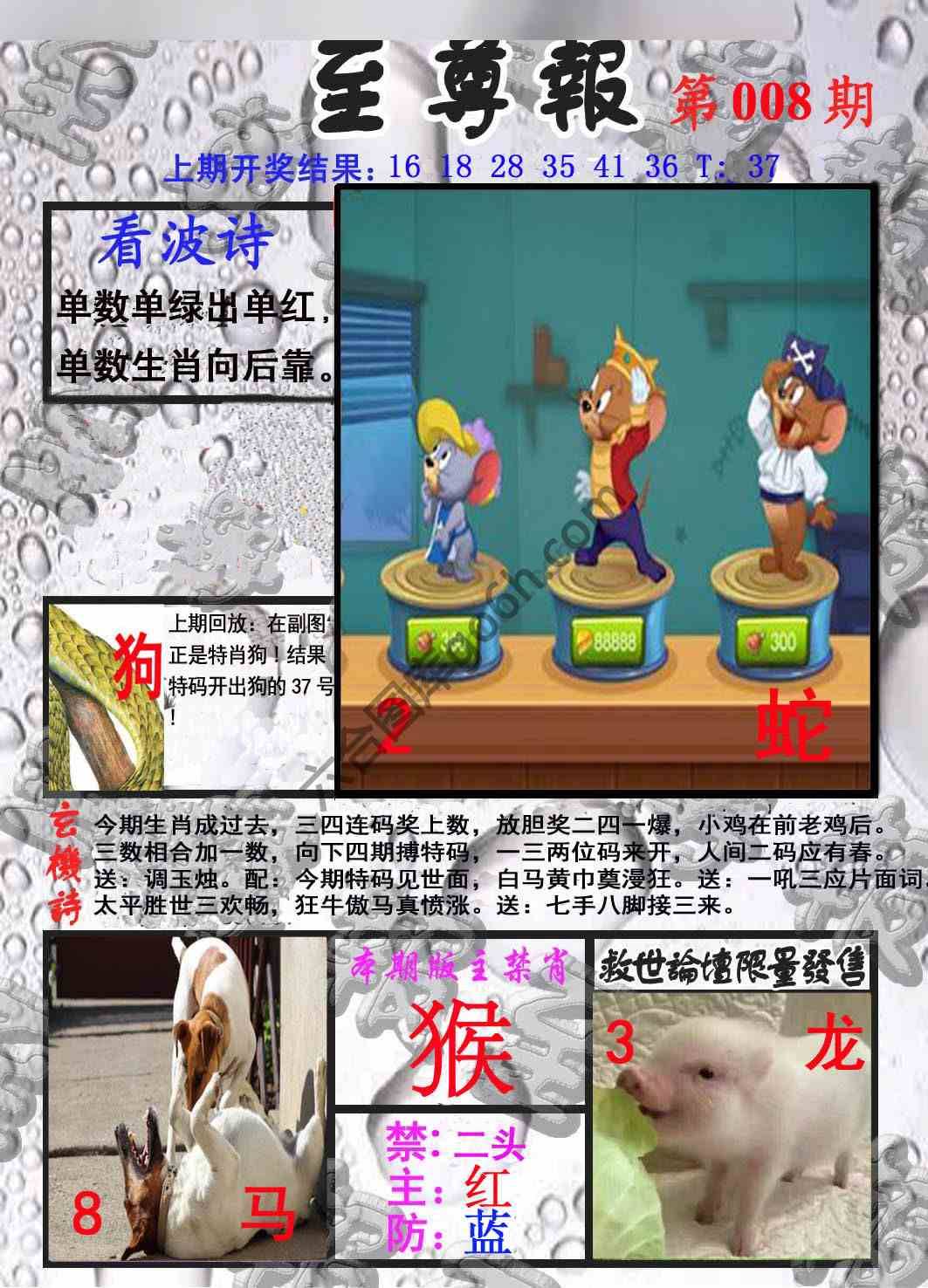 至尊报