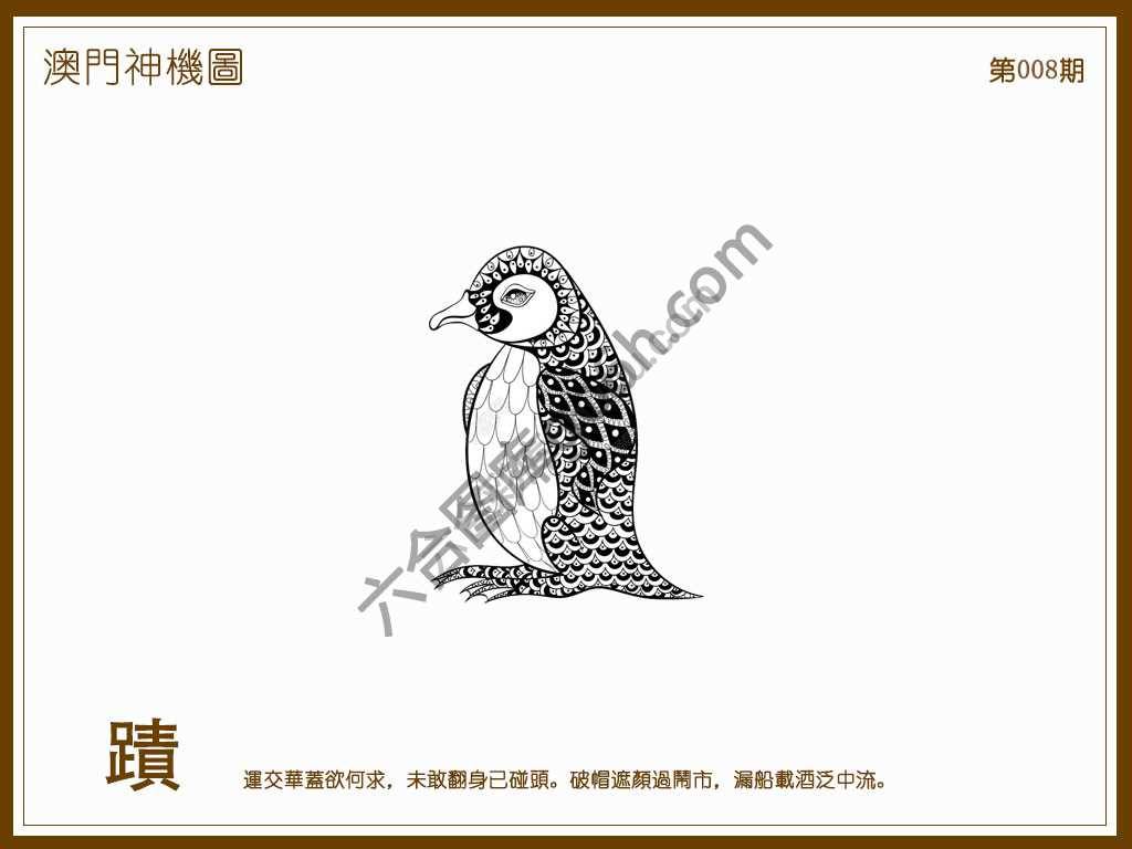 澳门神机图