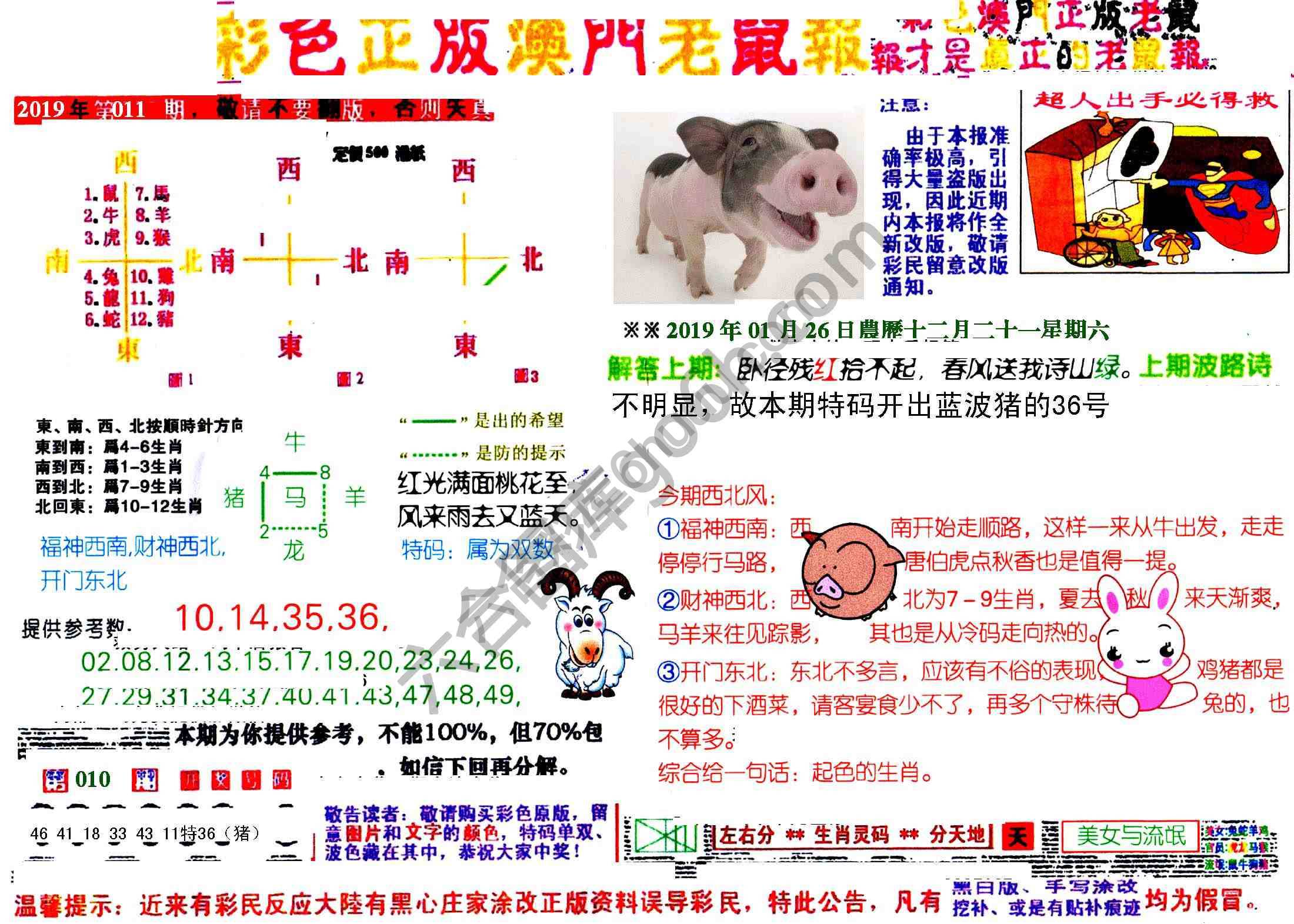 澳门老鼠报