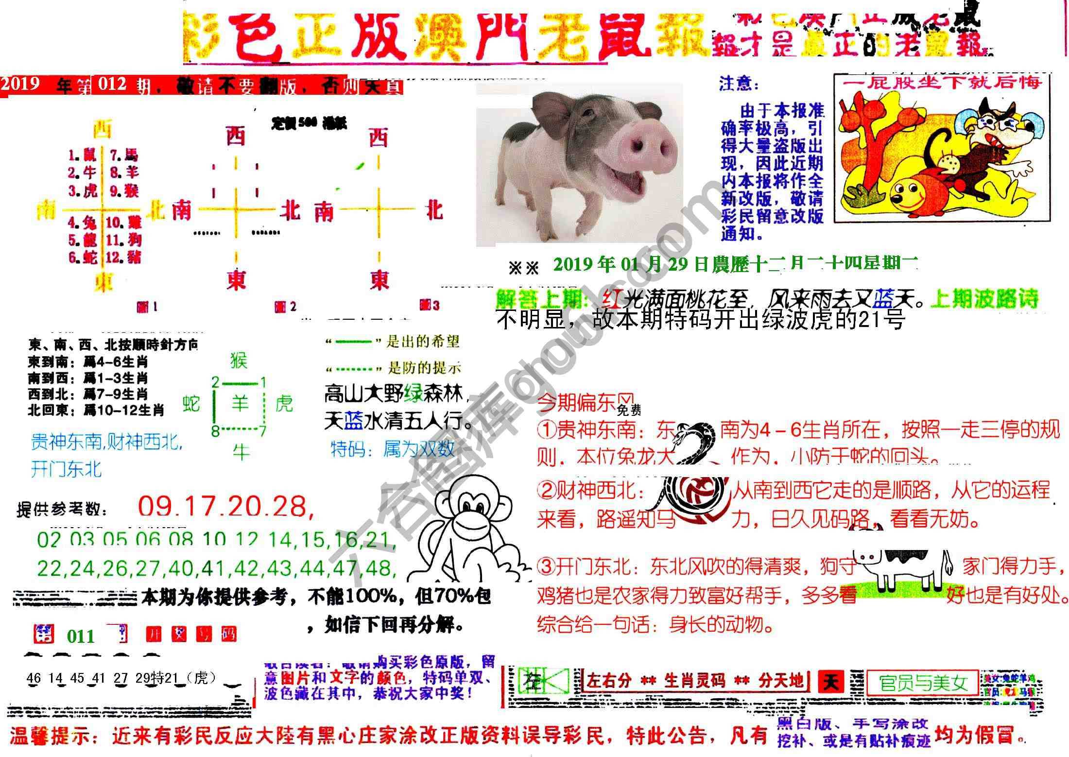 澳门老鼠报