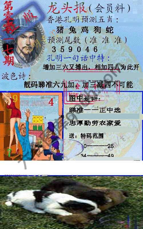 龙头报