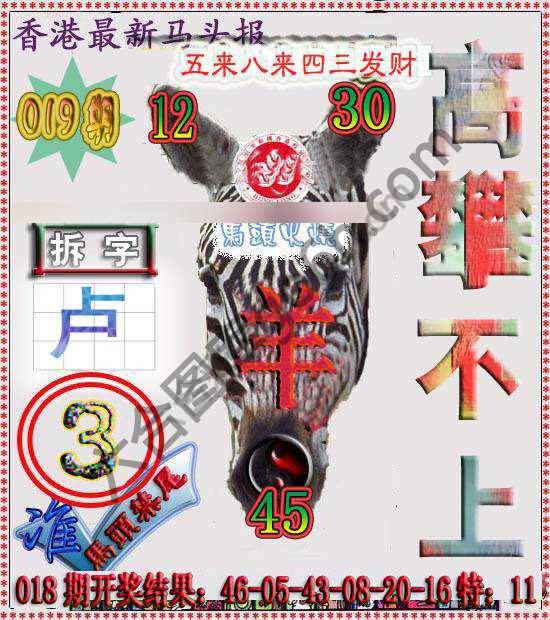 香港马头报
