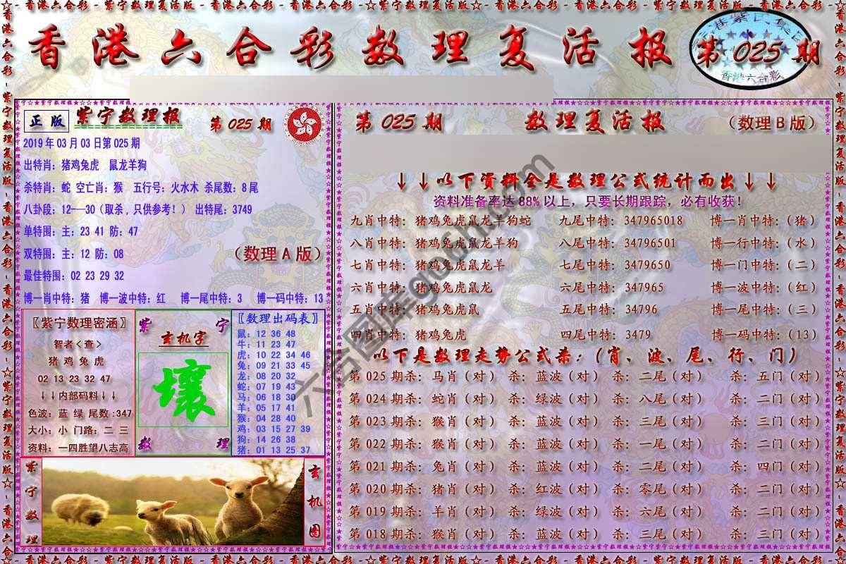 数理复活报