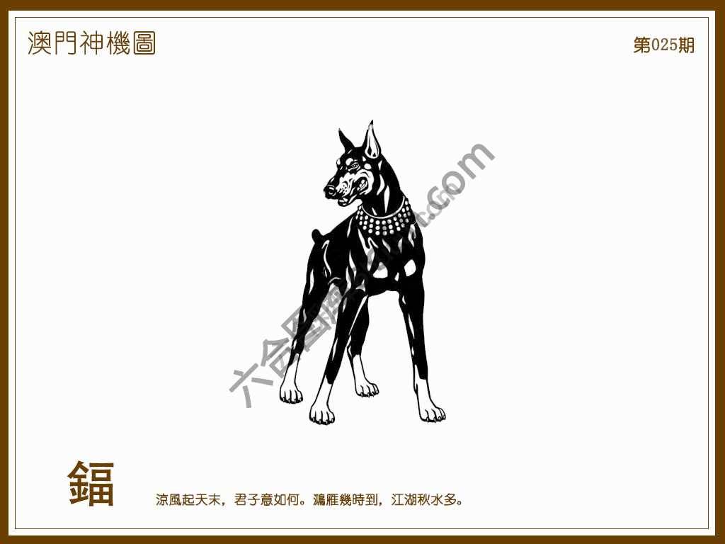 澳门神机图