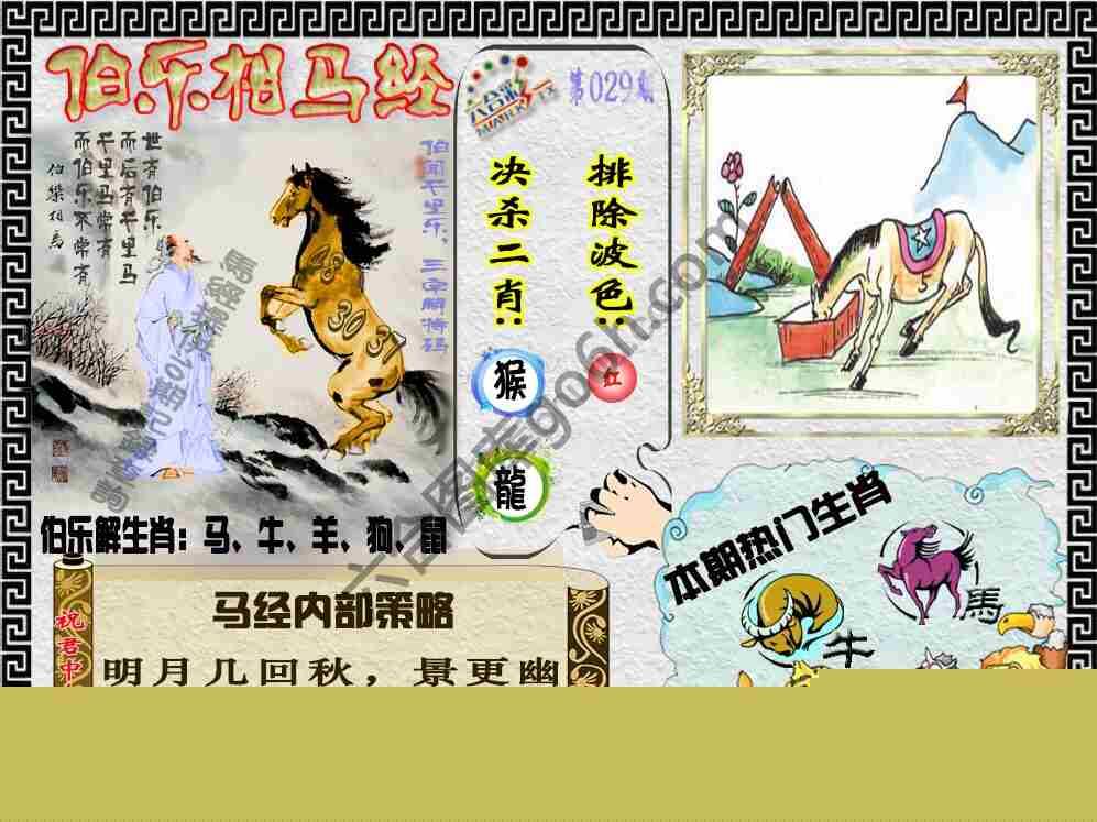 伯乐相马经