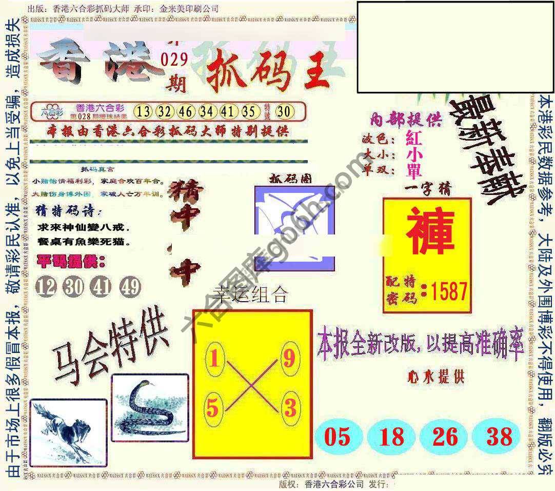 新抓码王