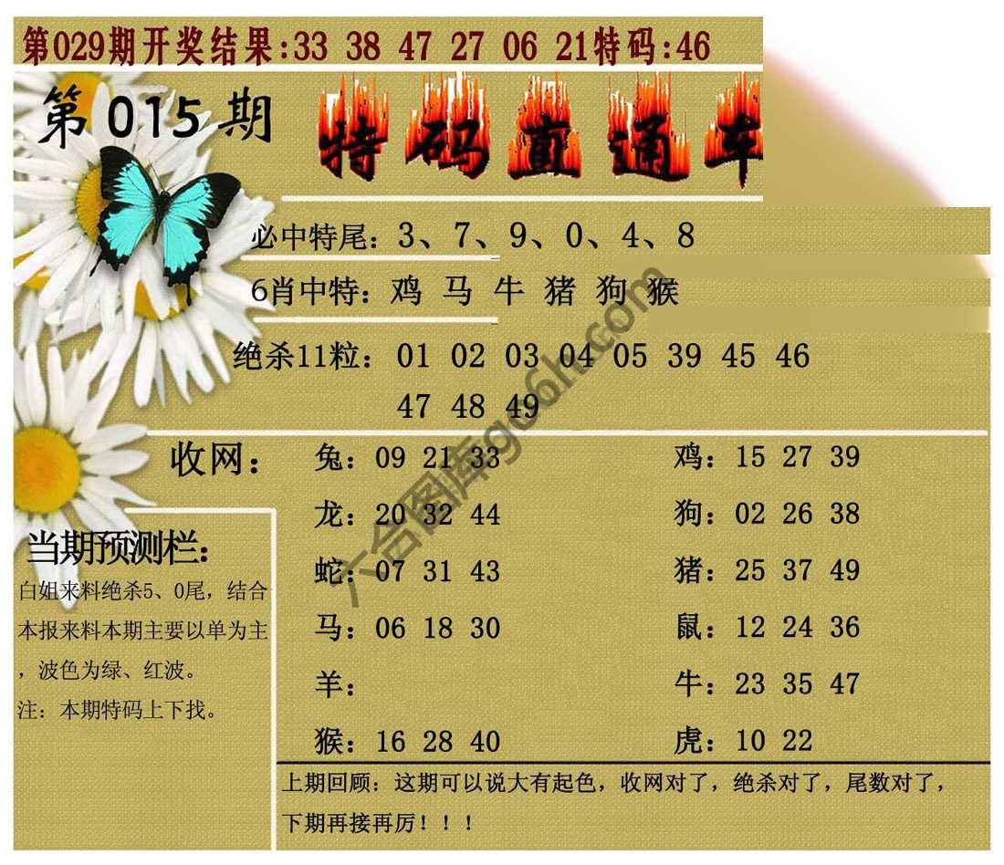 特码直通车